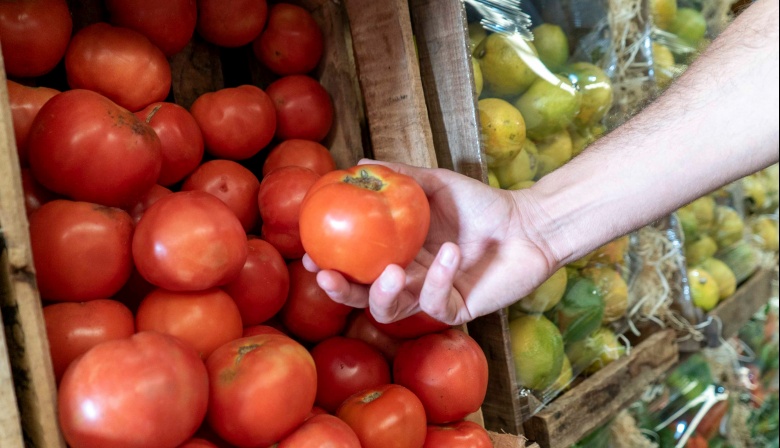 En marzo, las exportaciones de las economías regionales cayeron 7,4% en dólares y 5,4% en toneladas