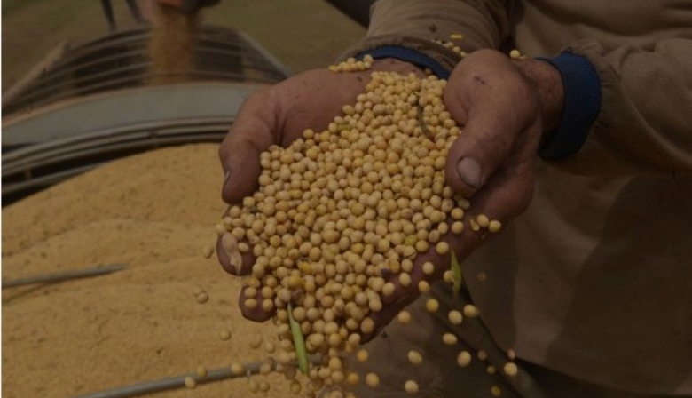 Tragedia climática en Brasil podría provocar aumento en precio de arroz, soya y otros alimentos, alertan expertos