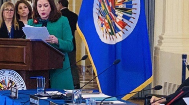 Candidata a la OEA dice que el organismo es "monotemático" porque sólo le interesa Venezuela