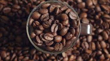 Exportar café a China es uno de los objetivos de expositores de la mayor feria cafetera de Brasil