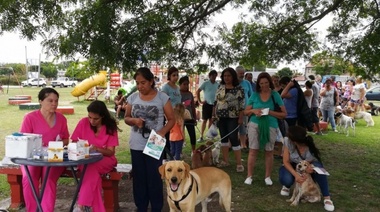 En La Plata ya se atendieron 10 mil mascotas de manera gratuita en programa comunal