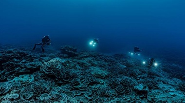 Los arrecifes de coral corren el riesgo de desaparecer a finales de siglo, advirtió la Unesco