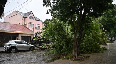 Jorge Macri anunció un subsidio para ayudar a porteños que sufrieron daños de inmuebles y autos en el temporal
