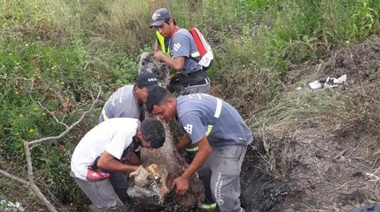 Otro intento de sabotaje sobre el sistema de drenaje de Los Hornos, y Garro dijo que "no es casualidad que sean en víspera" de un nuevo ciclo de tormentas