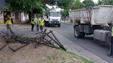 Desde temprano, la Municipalidad platense limpió restos de muñecos quemados este año nuevo