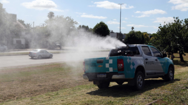 Fumigación contra el dengue en La Plata: estos son los trabajos dispuestos para este lunes