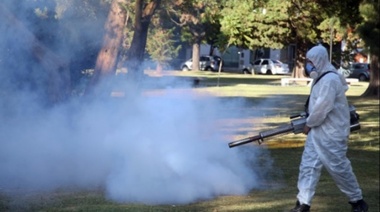 Intensifican operativos contra el dengue en barrios platenses ante las altas temperaturas