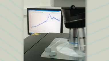 Aportan la primera evidencia de contaminación por microplásticos y otros desechos en pingüinos de Magallanes