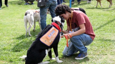 Más de 10 mil personas participaron del ‘Festival de adopción de mascotas’ en la República de los Niños