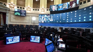 Los puntos salientes del proyecto sancionado por el Senado, que legaliza el aborto en la Argentina