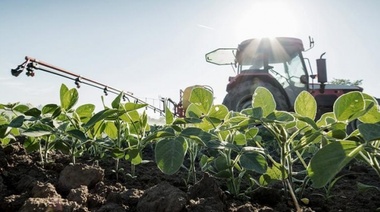Precios de granos con cierre dispar tras informe del USDA