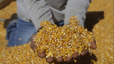 Exportaciones a China impulsan ventas récord del agronegocio brasileño hasta octubre