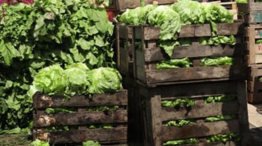 La UTEP y La Dignidad realiza hoy "La Feria del Buen Vivir" por el "derecho a comer"