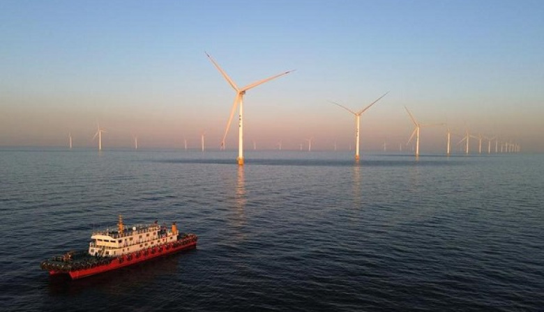 Inacción climática cobra millones de vidas cada año, alerta OMS