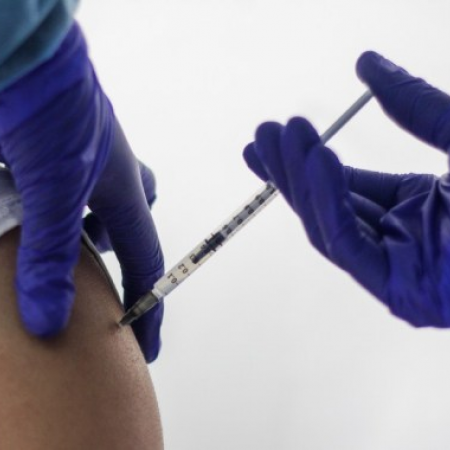 Argentina anuncia vacunación "focalizada" contra dengue