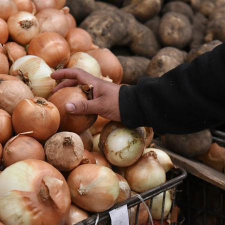 El Mercado Regional estableció un nuevo listado de precios con descuentos y promociones