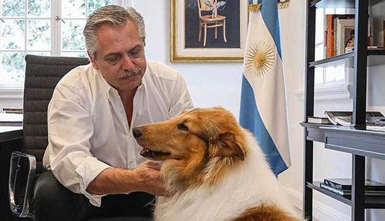 ¡Falta el gato de Schrödinger!: "Javo" y el "Capitán Beto" sacaron sus perros para disputar el partido