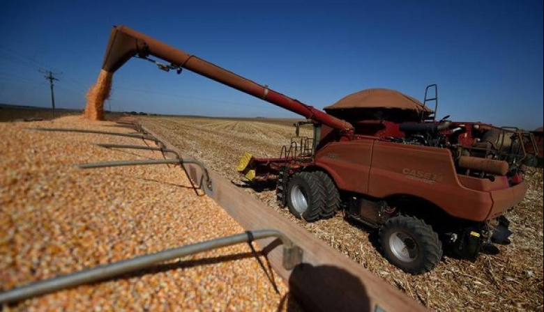 Brasil prevé expansión agrícola para la cosecha 2025-2026