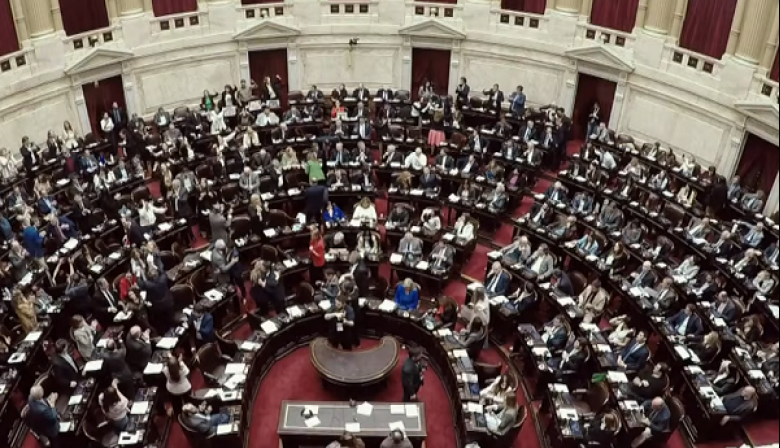 Diputados rechazó los vetos de Milei a las leyes de financiamiento universitario y de emergencia pediátrica