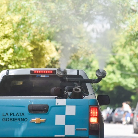 Fumigación contra el dengue en La Plata: estos son los trabajos de este miércoles