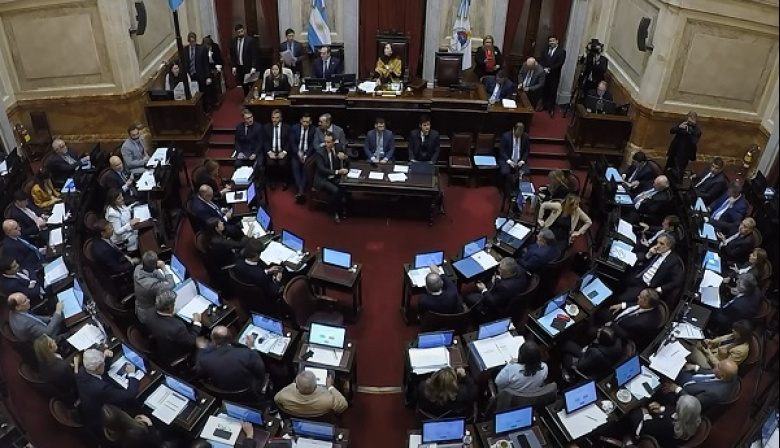 Amplia mayoría: el Senado convirtió en ley el presupuesto universitario