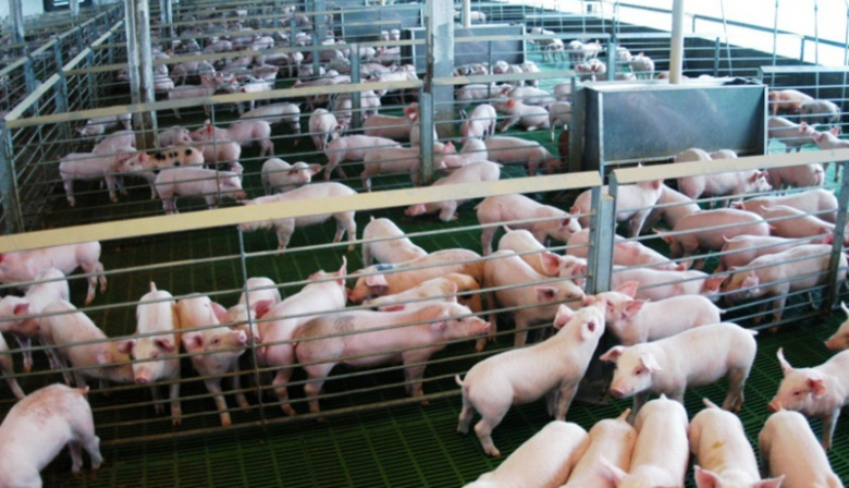 La carne porcina argentina llega por primera vez a Filipinas