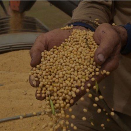 Tragedia climática en Brasil podría provocar aumento en precio de arroz, soya y otros alimentos, alertan expertos