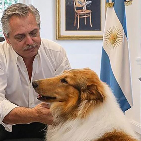 ¡Falta el gato de Schrödinger!: "Javo" y el "Capitán Beto" sacaron sus perros para disputar el partido