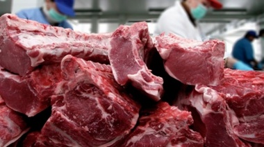 Las exportaciones de carne registraron una importante recuperación en agosto, con un alza de 25,7%
