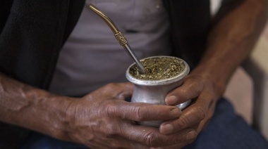 Yerba mate: identidad, hábito y nutrición