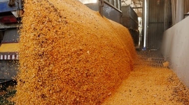 La soja cerró estable en $150 mil la tonelada en el mercado de Rosario