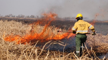 Cabandié celebró el fallo de la Corte sobre incendios en delta: “El camino es el desarrollo sostenible”