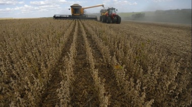 Ucrania sube previsiones para cosecha de cereales en 2023