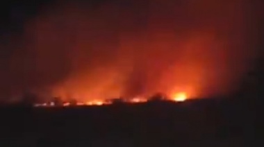 Controlan incendio que afectaba a parte de zona cercana a autopista Buenos Aires - La Plata