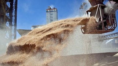 Subieron los precios de la soja y el maíz y bajó el valor del trigo en el mercado de Chicago