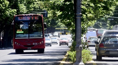 El transporte público de pasajeros será gratuito en La Plata el domingo de elecciones