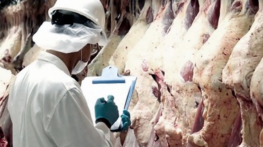 Confían en replicar este año el volumen de exportaciones de carne de 2019