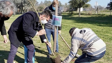 Día del Árbol: Corredores Viales lanzó un plan de forestación para la Autopista Ezeiza Cañuelas