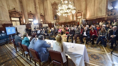 Respaldo de los bloques oficialistas del Congreso a la vicepresidenta