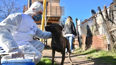 Día Mundial contra la Rabia: El Municipio ya vacunó a más de 5 mil animales durante el aislamiento
