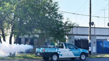 Campaña contra el dengue: avanzan los operativos de fumigación en los barrios platenses