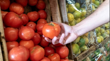 En La Plata, la canasta básica tuvo un incremento en enero del 17%, y las verduras fue el rubro más picante