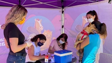 Con la vacunación de 150 mascotas, retomaron las jornadas de asistencia veterinaria en espacios públicos