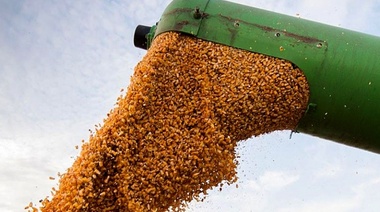 Los precios de los granos cerraron con fuertes alzas en el mercado de Chicago