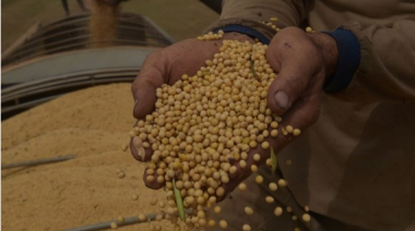 Tragedia climática en Brasil podría provocar aumento en precio de arroz, soya y otros alimentos, alertan expertos