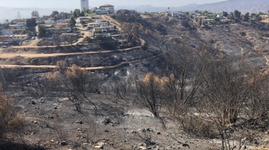 Conciencia ecológica tras incendios en humedales del centro de Chile