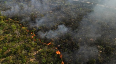 Brasil pierde el 15% de sus bosques naturales entre 1985 y 2022, alerta informe