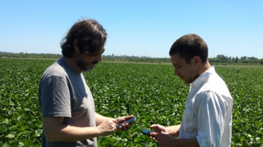 La startup de tecnología aplicada al agro ucrop.it logra su ronda semilla por 1.1 M USD