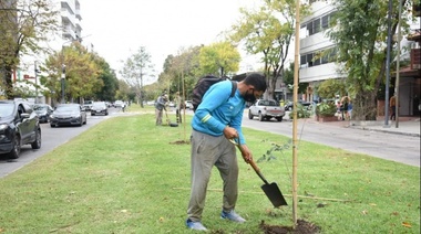 Por el Día Mundial de la Tierra, la Comuna plantó nuevos lapachos en avenida 19