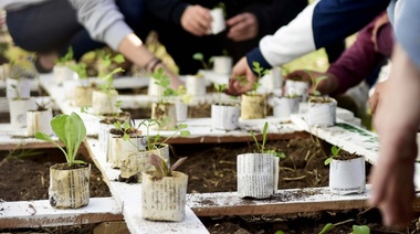 Cultivo orgánico y colaborativo: el Municipio promueve el armado de huertas en escuelas y comedores